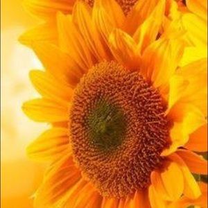 Meet your Posher, Jody